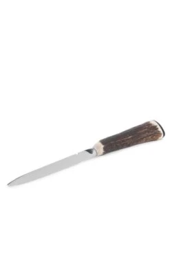 Abbeyhorn Stag Antler Handle Letter Opener