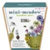 Mini Meadow Pots