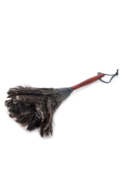 Feather Duster