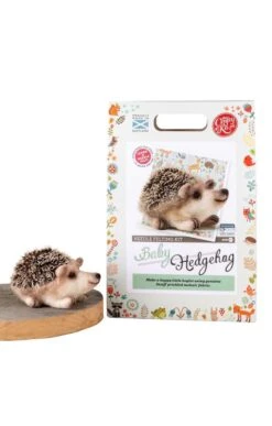 Needle Felting Kit -Home Furnishings Shop CG10322BABYHEDGEHOG 1