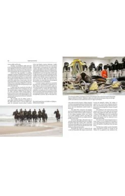 The Tack Room By Paula Sells -Home Furnishings Shop CK00261BOOK 2