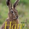 The Hare By Jill Mason