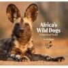 Africa's Wild Dogs By Jocelin Kagan