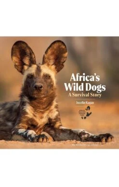 Africa's Wild Dogs By Jocelin Kagan