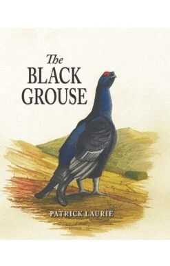 The Black Grouse By Patrick Laurie