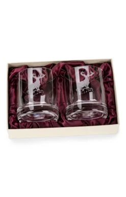 Burns Crystal Set Of 2 10oz Whisky Glasses -Home Furnishings Shop CK14507STAG 2