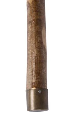 Horn Crown Stick -Home Furnishings Shop CK15000HORN 2