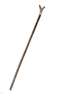 Horn Stalking Stick