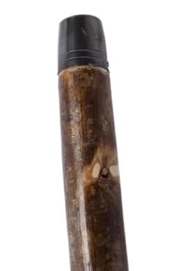 Horn Stalking Stick -Home Furnishings Shop CK15001HORN 2