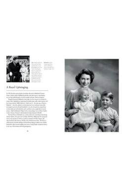 King Charles III By Gill Knappet -Home Furnishings Shop CL01370KINGCHARLES 2