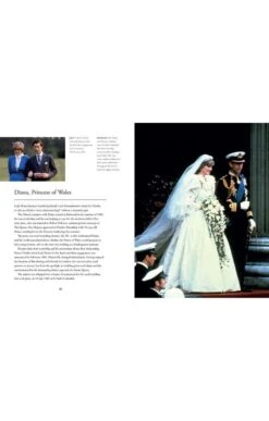 King Charles III By Gill Knappet -Home Furnishings Shop CL01370KINGCHARLES 3