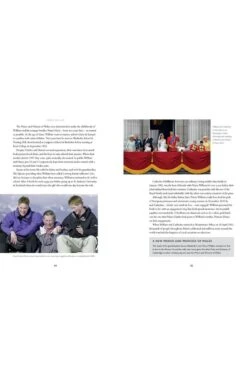 King Charles III By Gill Knappet -Home Furnishings Shop CL01370KINGCHARLES 4