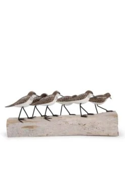 Little Stint Block Bird Carving -Home Furnishings Shop CT151356BIRDS 3