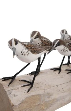 Little Stint Block Bird Carving -Home Furnishings Shop CT151356BIRDS 5