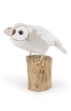 Barn Owl