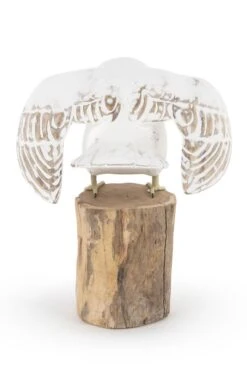 Barn Owl -Home Furnishings Shop CT15216TAKEOFF 2