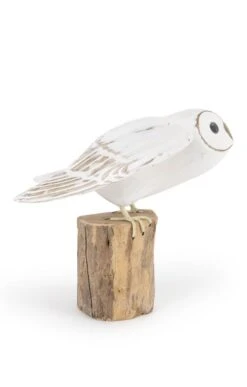 Barn Owl -Home Furnishings Shop CT15216TAKEOFF 3