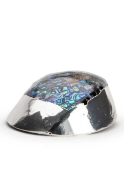 Silver Plated Seashells -Home Furnishings Shop CY15050HALIOTISCRACHER 1