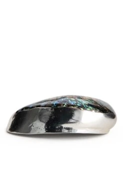 Silver Plated Seashells -Home Furnishings Shop CY15050HALIOTISCRACHER 2