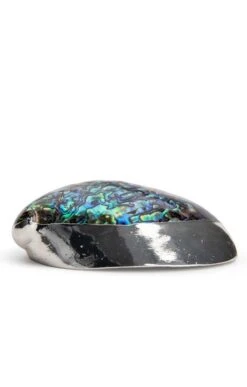 Silver Plated Seashells -Home Furnishings Shop CY15050HALIOTISCRACHER 4