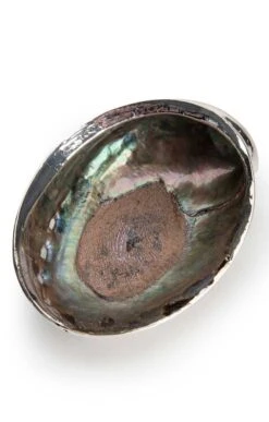 Silver Plated Seashells -Home Furnishings Shop CY15050HALIOTISCRACHER 5