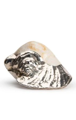 Silver Plated Seashells -Home Furnishings Shop CY15050STROMBUSLATISSIMUS 1