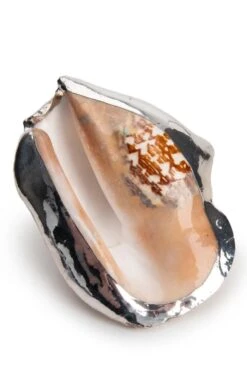 Silver Plated Seashells -Home Furnishings Shop CY15050STROMBUSLATISSIMUS 5