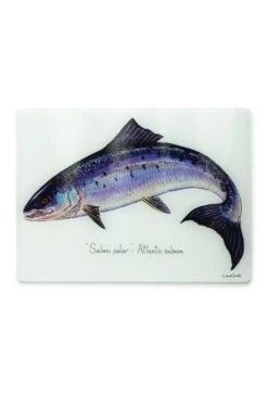 Richard Bramble Surface Protector