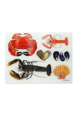 Richard Bramble Surface Protector