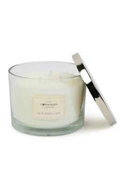 14oz Candle Life’s Treasures -Home Furnishings Shop CY20242FIGBLACKCURRANT 1