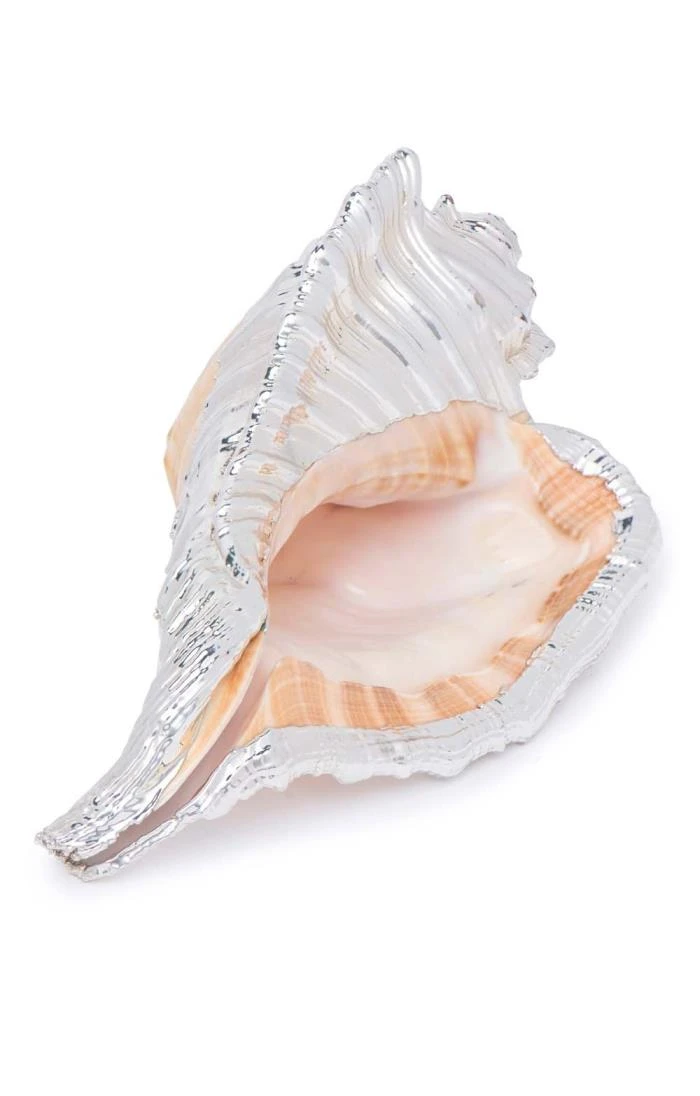 Silver Plated Cymatium Rodein Seashell 2 Silver Plated Cymatium Rodein Seashell - Image 2