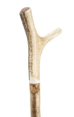 Wilson Horn Tipped Walking Staff -Home Furnishings Shop TK17495WOOD 2