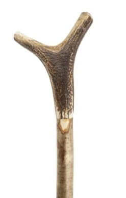 Wilson Horn Tipped Walking Staff -Home Furnishings Shop TK17495WOOD 3