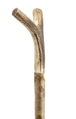 Wilson Horn Tipped Walking Staff -Home Furnishings Shop TK17495WOOD 4