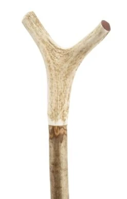Wilson Horn Tipped Walking Staff -Home Furnishings Shop TK17495WOOD 5