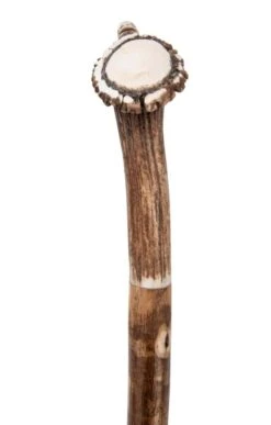 Wilson Horn Tipped Whistle Walking Staff -Home Furnishings Shop TK17496 4